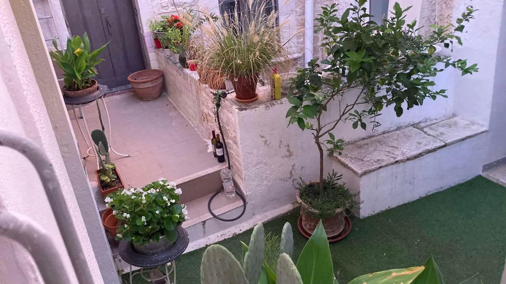 Palazzo Siena De Facendis Bed & Breakfast Bitonto