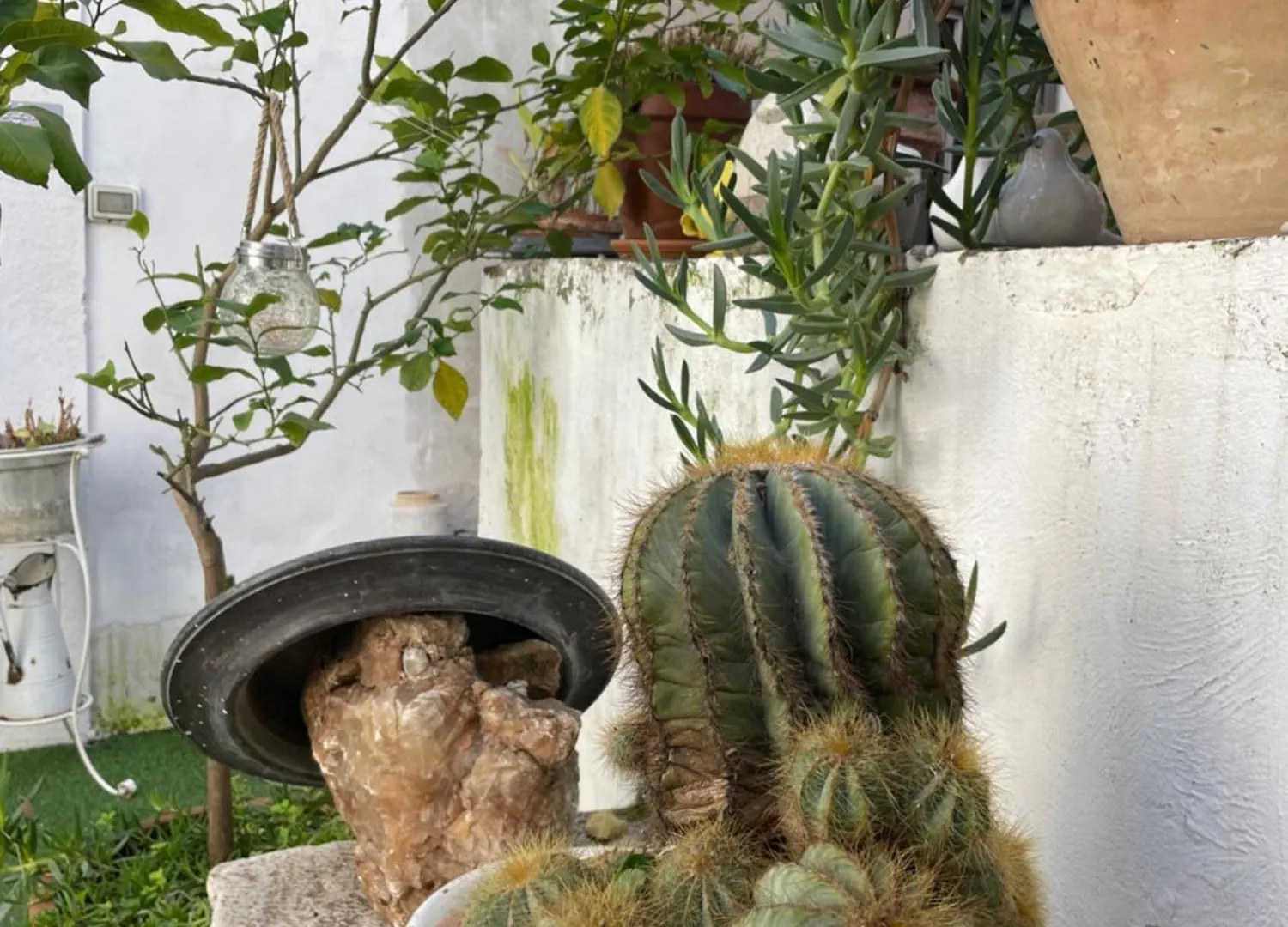 Palazzo Siena De Facendis Bed & Breakfast Bitonto